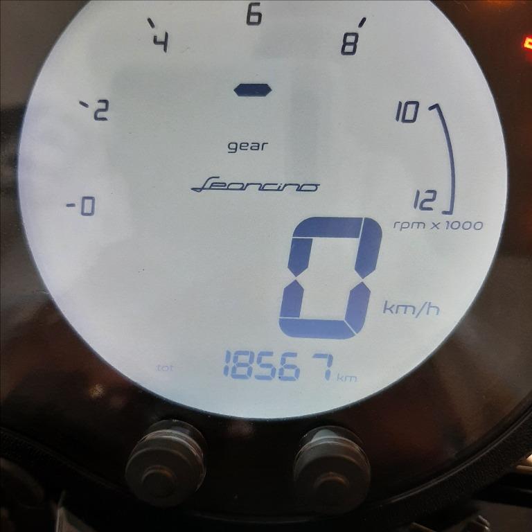 BENELLI Leoncino 500 E4