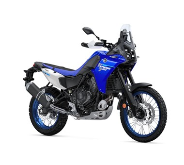 Progetto Senza Titolo (2) (1)